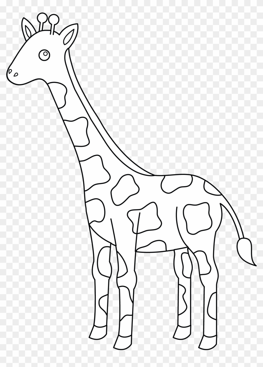 5774 X 7792 4 - Giraffe Black And White Clipart Png Transparent Png
