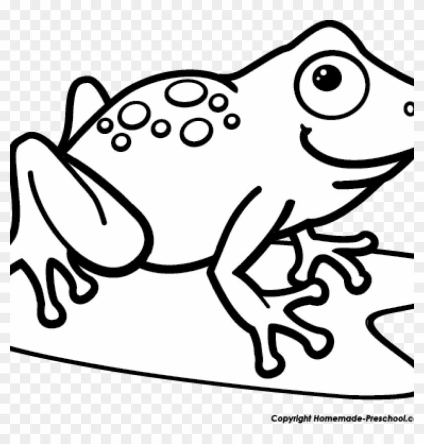 Black And White Frog Clipart 19 Tree Frog Png Transparent - Frog On A Lily Pad Drawing