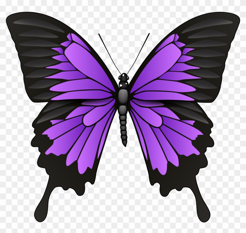 Purple Butterfly Png Clip Art Transparent Png #532899