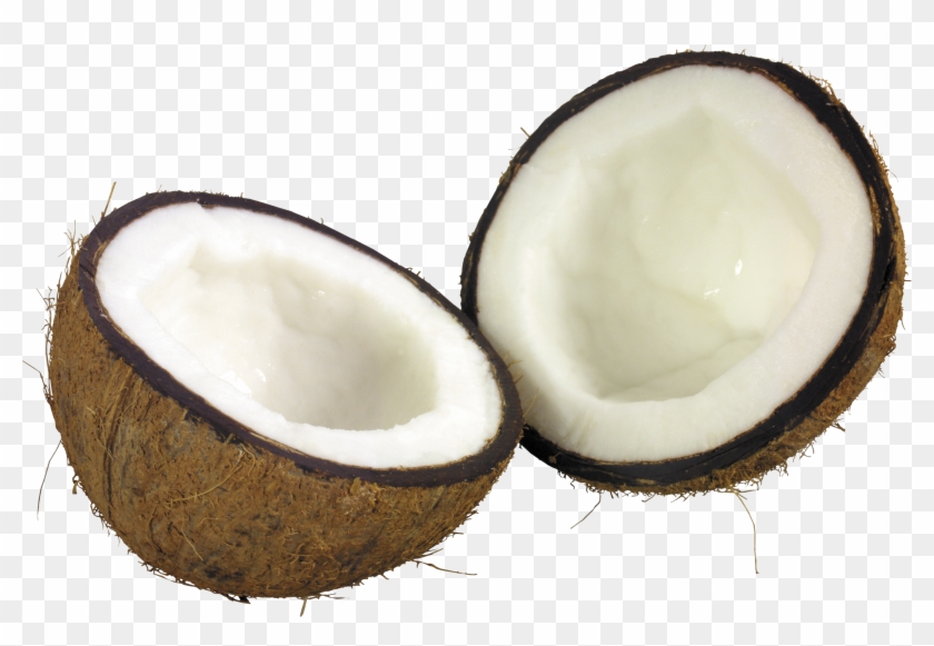 Coconut - Coconut Png Clipart