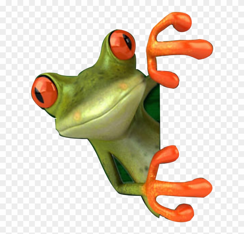Crazy Frog Png - Red Eyed Tree Frog Png Clipart #533578