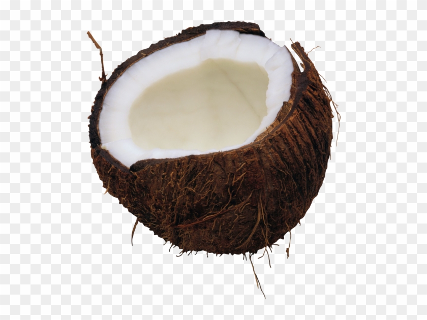 Coconut Png Free Download - Coconut Png Clipart #533737