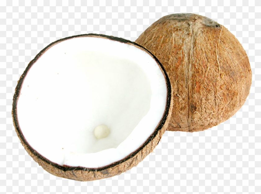Download Two Half Coconuts Png Image - Half Coconut Png Clipart