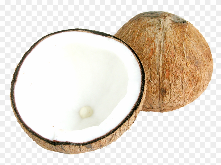 Download Two Half Coconuts Png Image - Half Coconut Png Clipart #533762