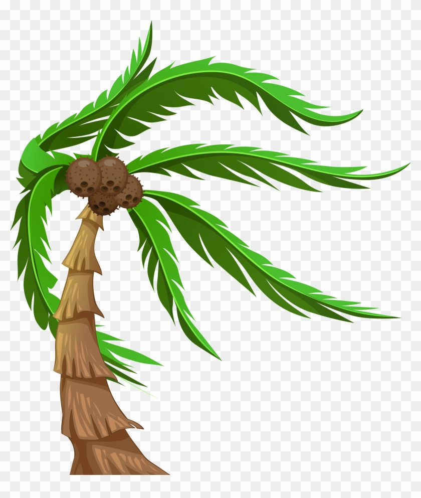 Picture Black And White Library Palm With Coconuts - Coconut Trees Clipart Png Transparent Png #534045