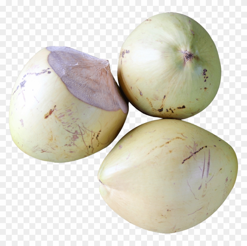 Free Png Top View Of Coconut Png Images Transparent - Coconut Top View Png Clipart