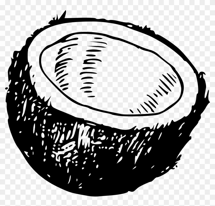 Coconut Svg Clip Arts 600 X 546 Px - Png Download