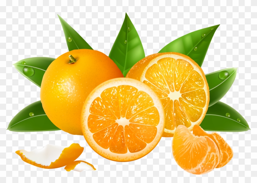 Oranges Png Clipart #534412