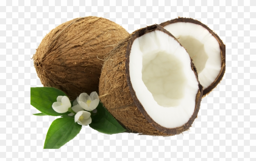 Coconut Png Transparent Images - Aceite De Coco Fraccionado Doterra Clipart
