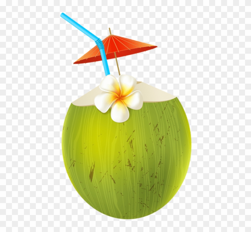 Free Png Download Coconut Coctail Transparent Clipart - Coconut Green Png Cartoon #534566