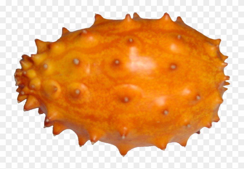 Fruit Kiwano - Fruits Photo Sans Fond Clipart #534568