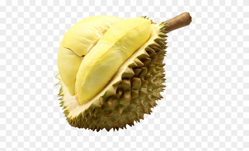 Durian Monthong Fruit Thailand - Durian Thailand Clipart #534963