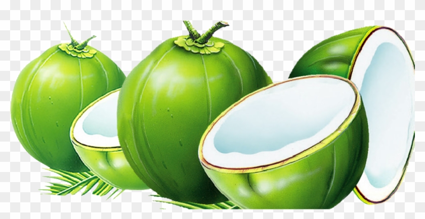 Dodol Coconut Water Nata De Coco Coconut Milk - Coconut Clipart #535020