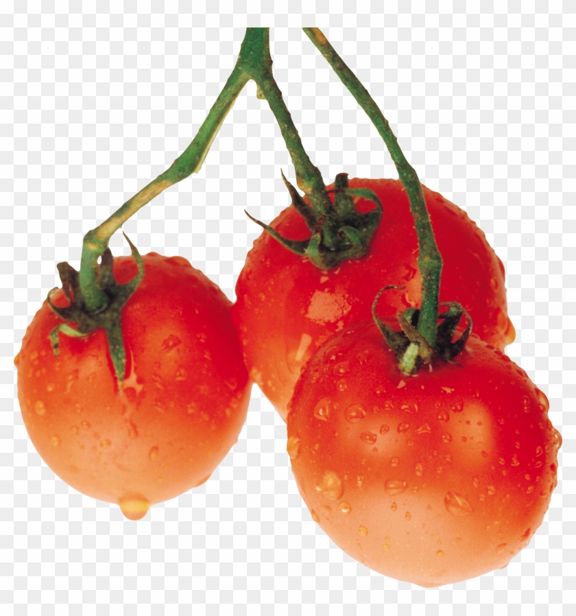 Tomato Png Free Download - Pomidory Clipart #535064