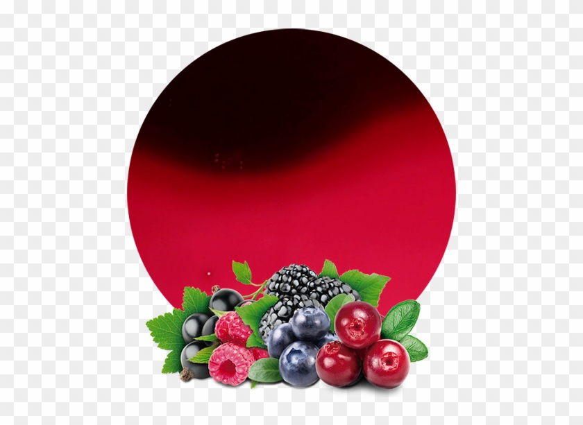 Com/wp Berries Concentrate - Wild Berries Fruit Png Clipart #535066