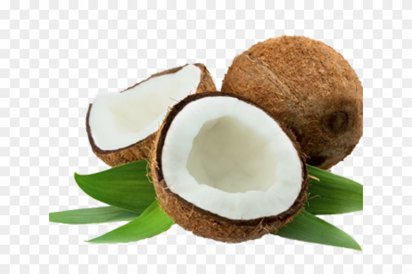 Coconut Png Transparent Images - Transparent Background Coconut Png Clipart #535109