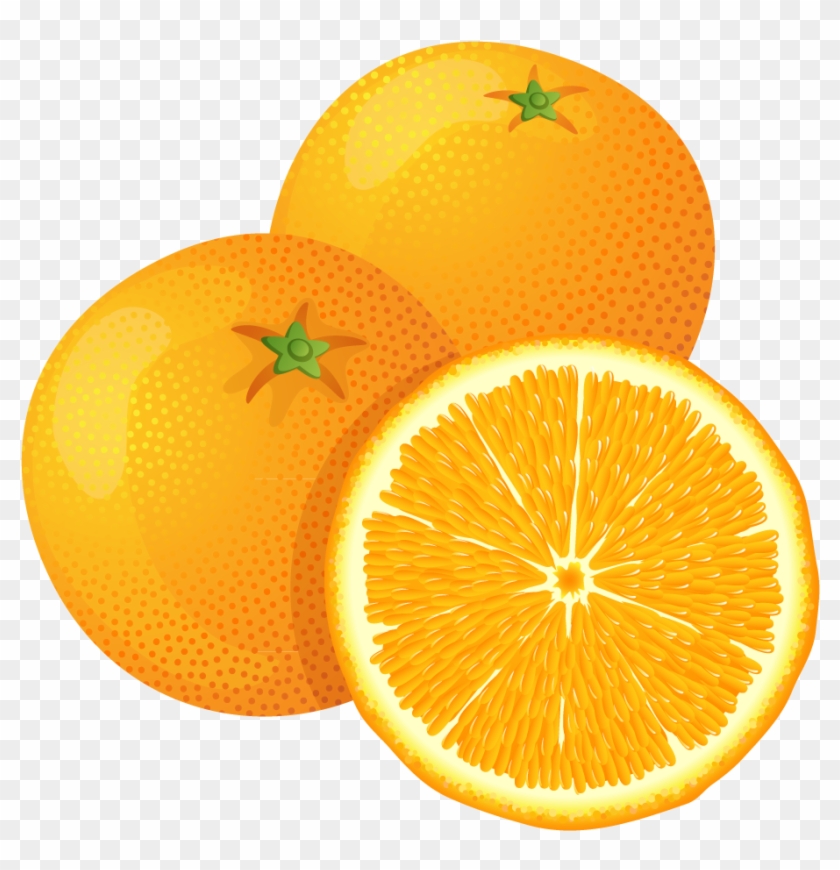 Collection Of Free Grapefruit Cliparts On Clip - Transparent Background Orange Clipart - Png Download #535159