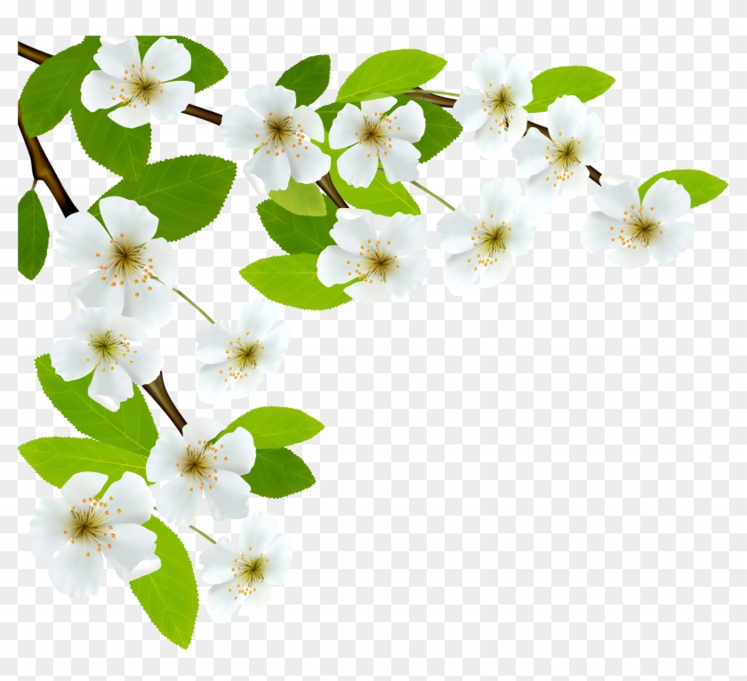 White Spring Flowers Png Clipart