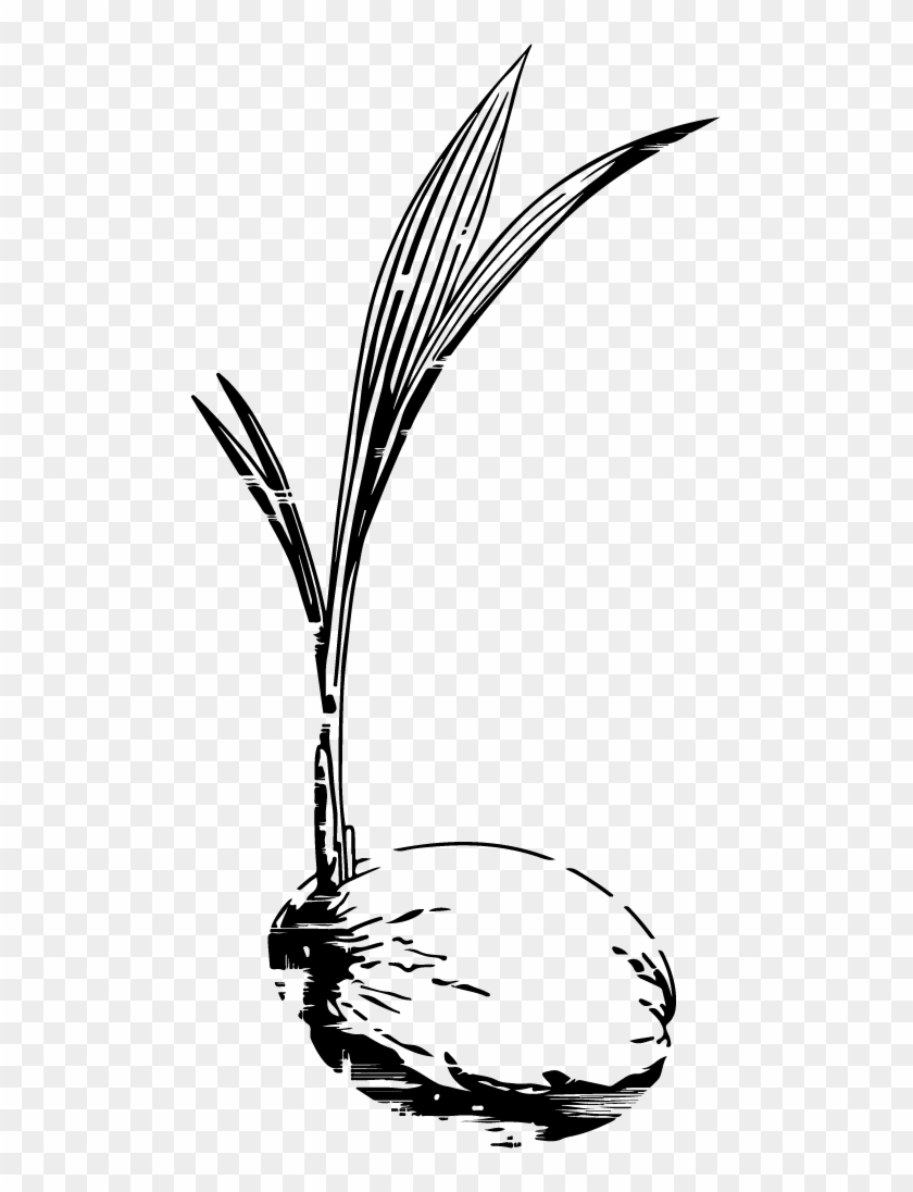 Corporate Icon Jpg File Young Coconut - Illustration Clipart #535309