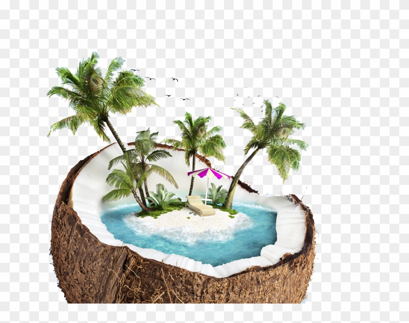 A Beach Inside Of A Coconut - Coconut Beach Png Clipart