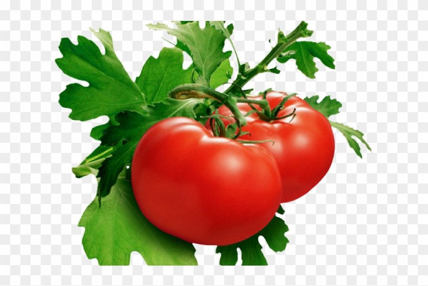 Tomato Png Transparent Images - Domates Png Clipart #535743