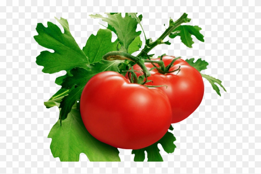 Tomato Png Transparent Images - Domates Png Clipart