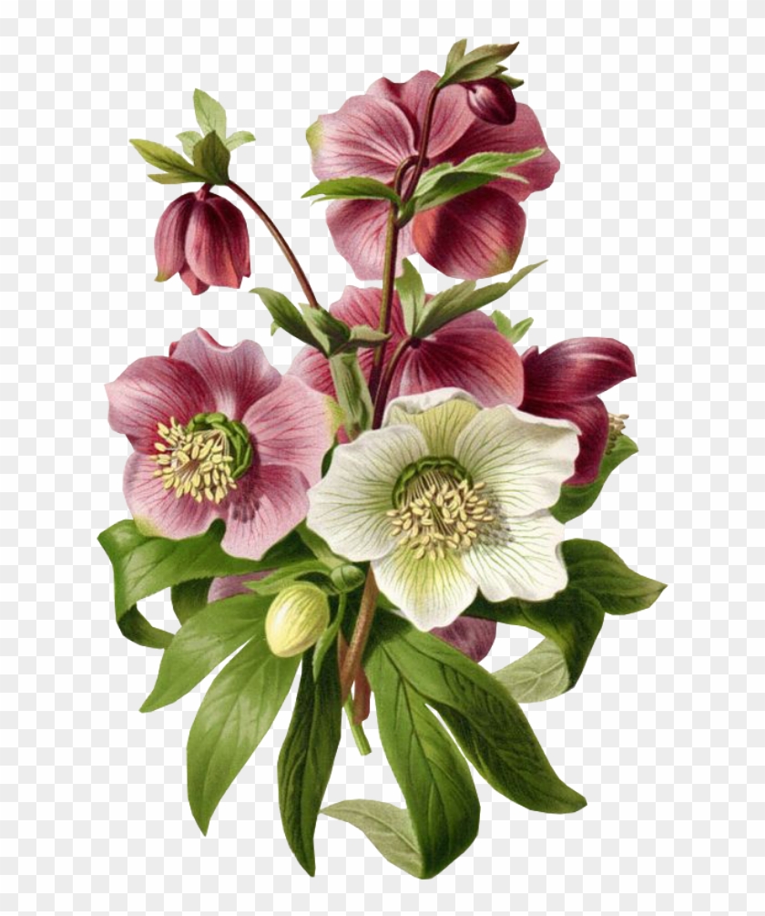 Cute Sticker - Flowers Collage Free Clipart #535799