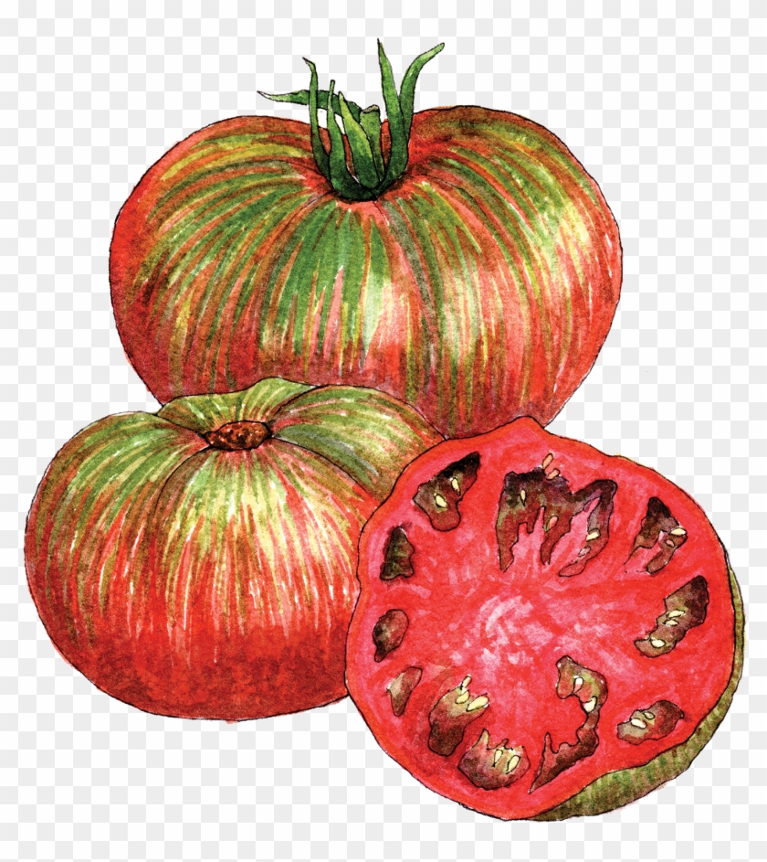 Pink Berkeley Tie Dye Tomato Clipart
