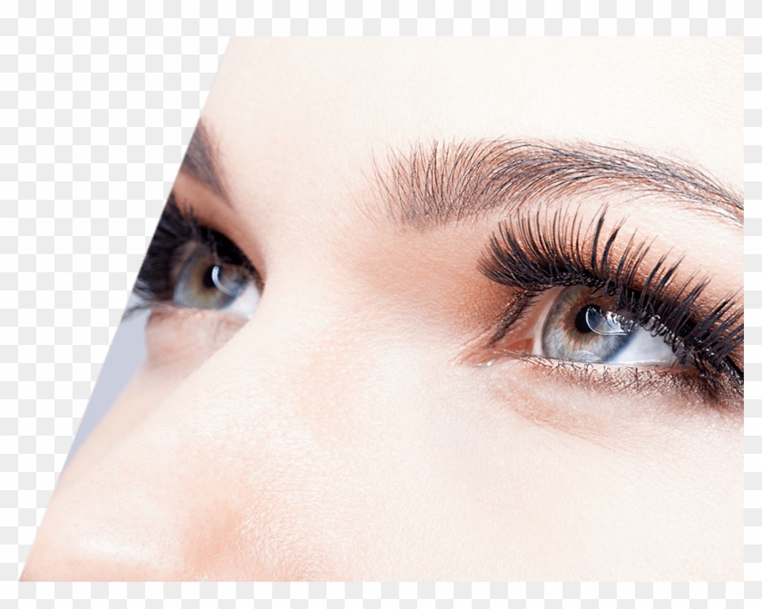 Eyelashes - Eyelash Extensions Clipart #536206