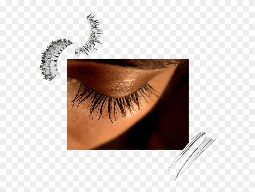 Eye Lashes - Eyelash Extensions Clipart