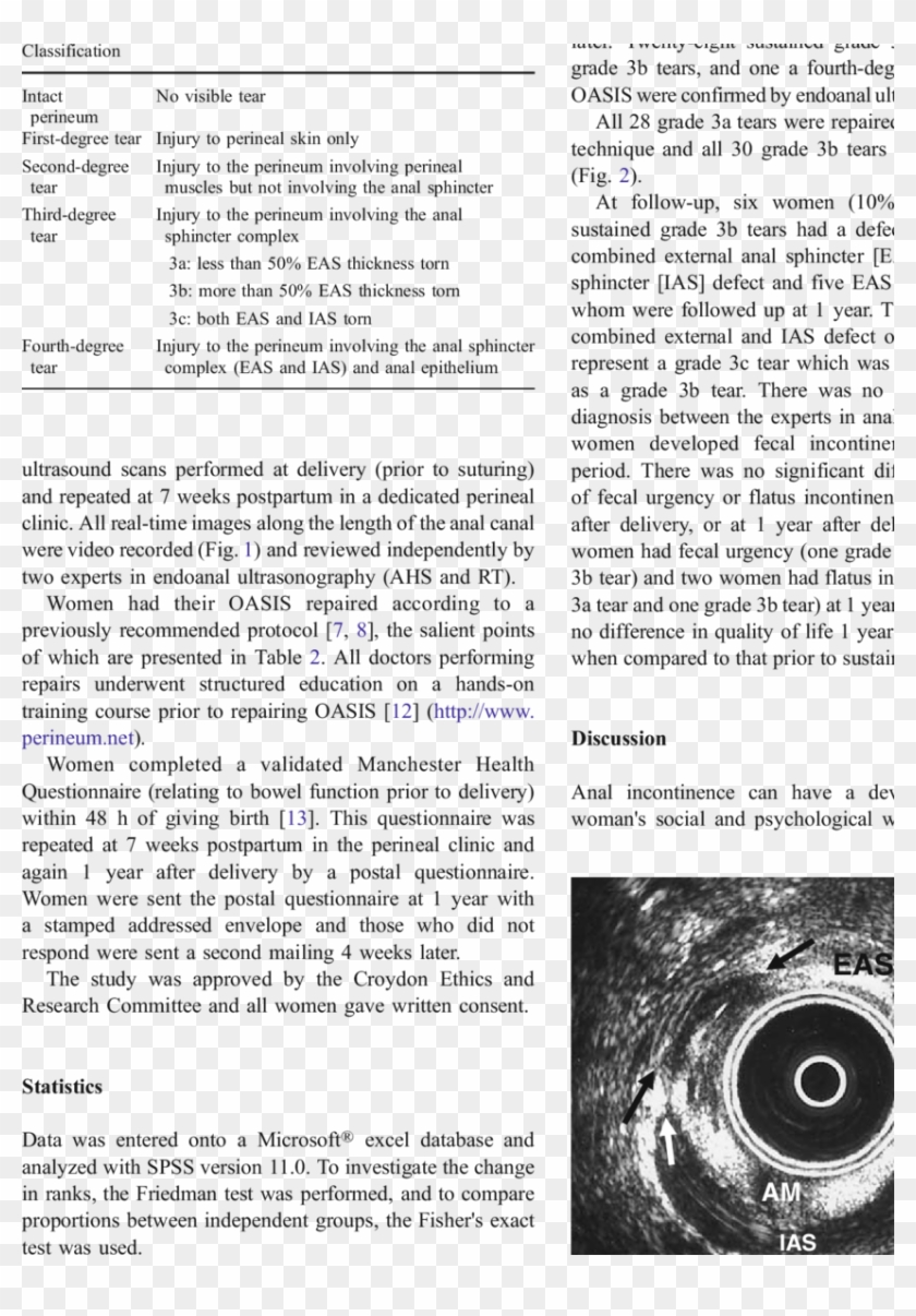 Classification Of Perineal Tears - Text Page - Holy Land - The Necropolis Clipart #536900
