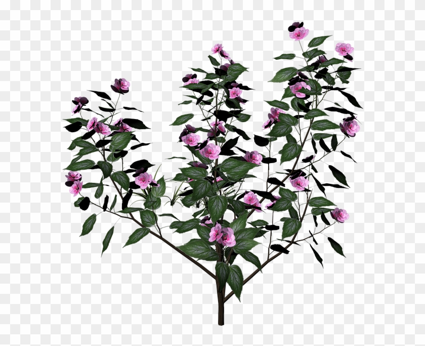 Portable Network Graphics Clipart 538165 Pikpng Portable Network Graphics Clipart 538165 Pikpng