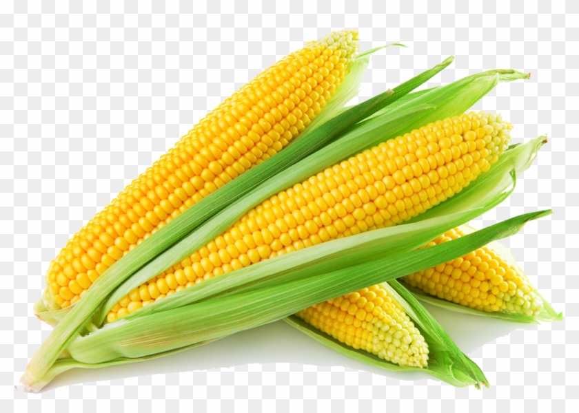 Sweet Corn - Corn Png - Yellow Corn Clipart