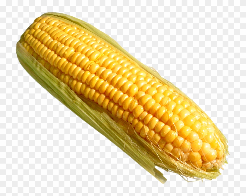Corn Png Pic - Corn On The Cob Transparent Clipart