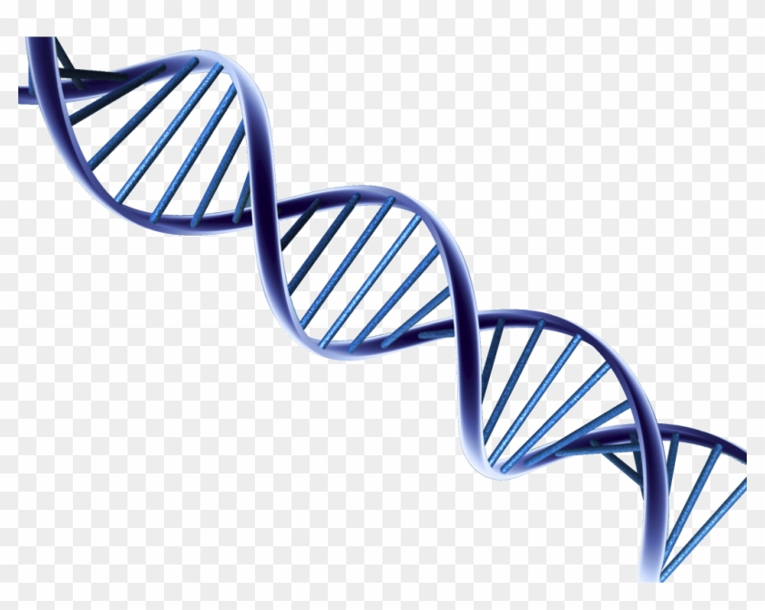 Dna Png Clipart #538948