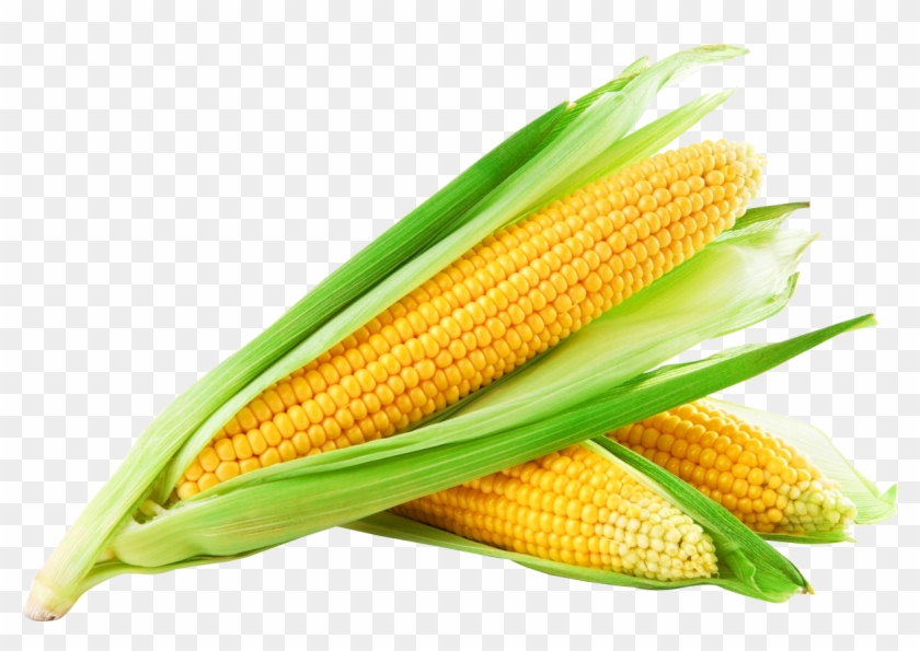 Corn Png Image - Sweet Corn Clipart #538963