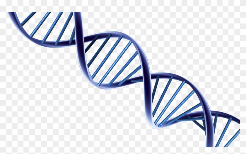 Dna Png Photo - Dna Png Clipart