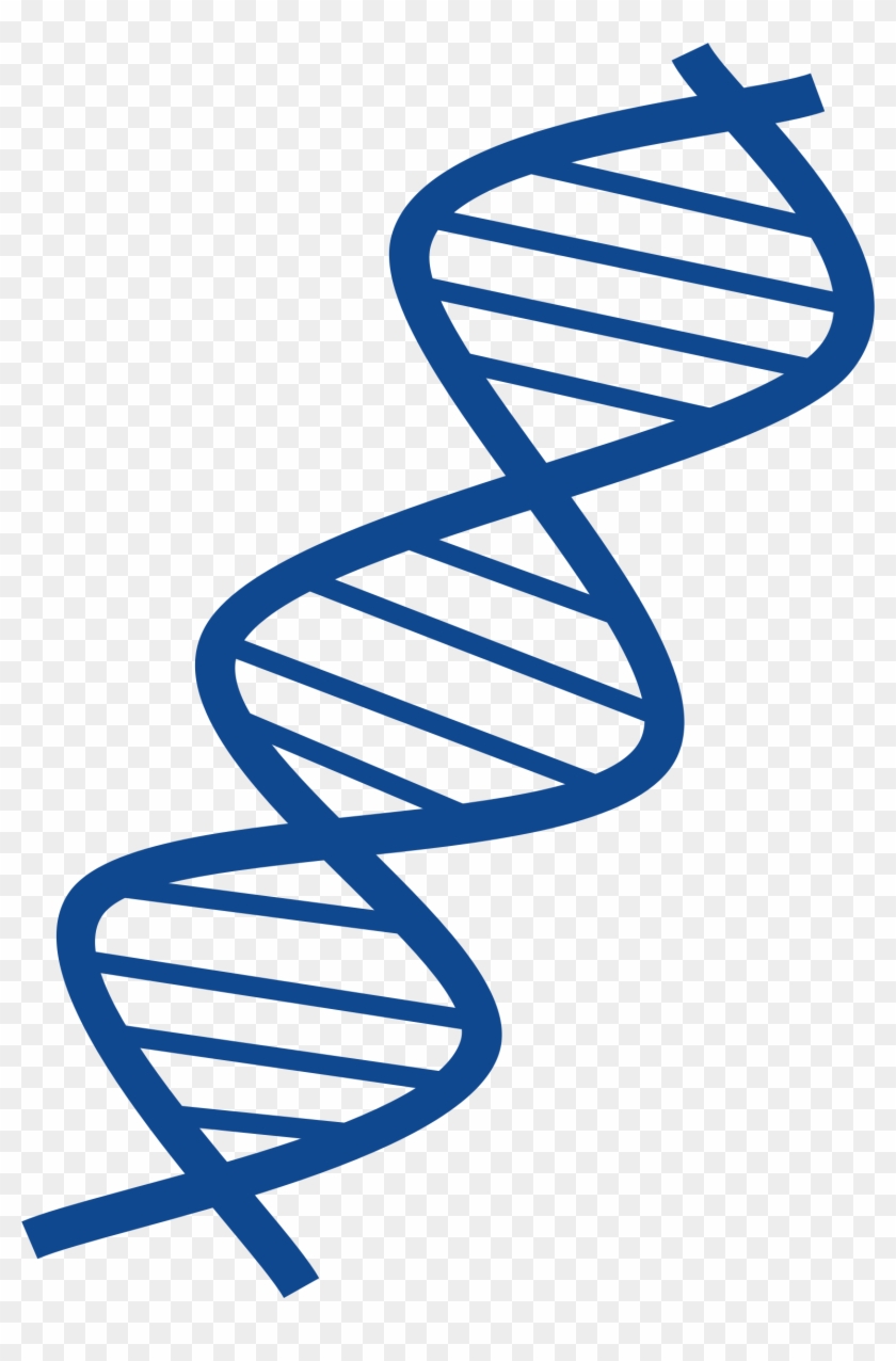 Dna Png Transparent - Dna Clipart Png