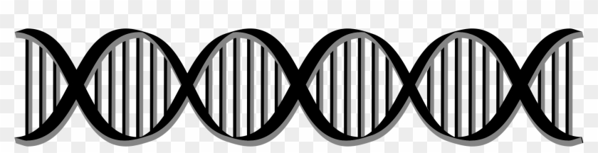 Dna Png - Dna Helix Black And White Clipart #539271
