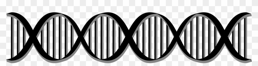 Dna Png - Dna Helix Black And White Clipart