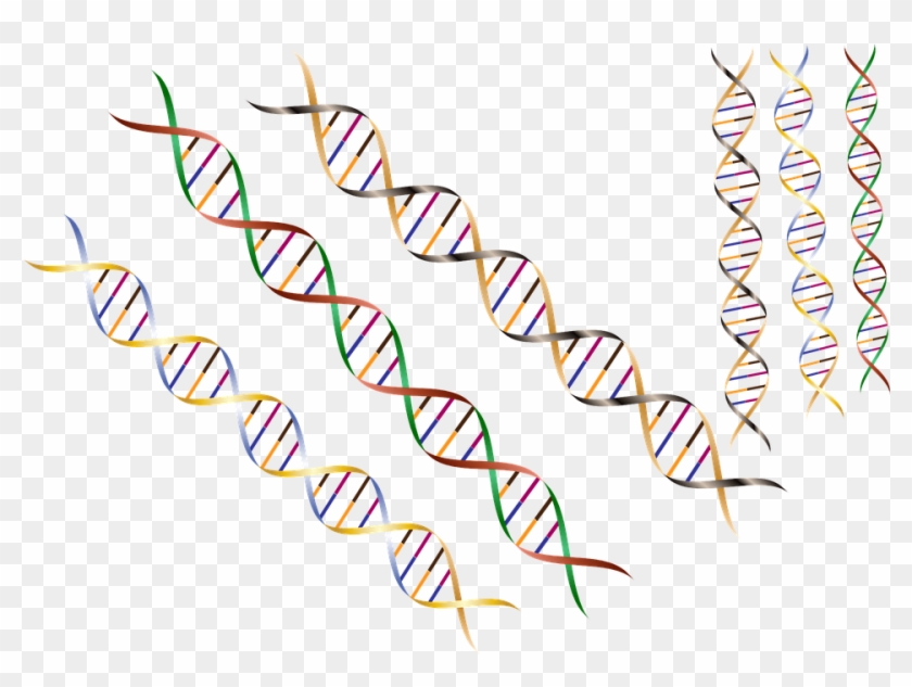 Dna Strand Png Clipart #539409
