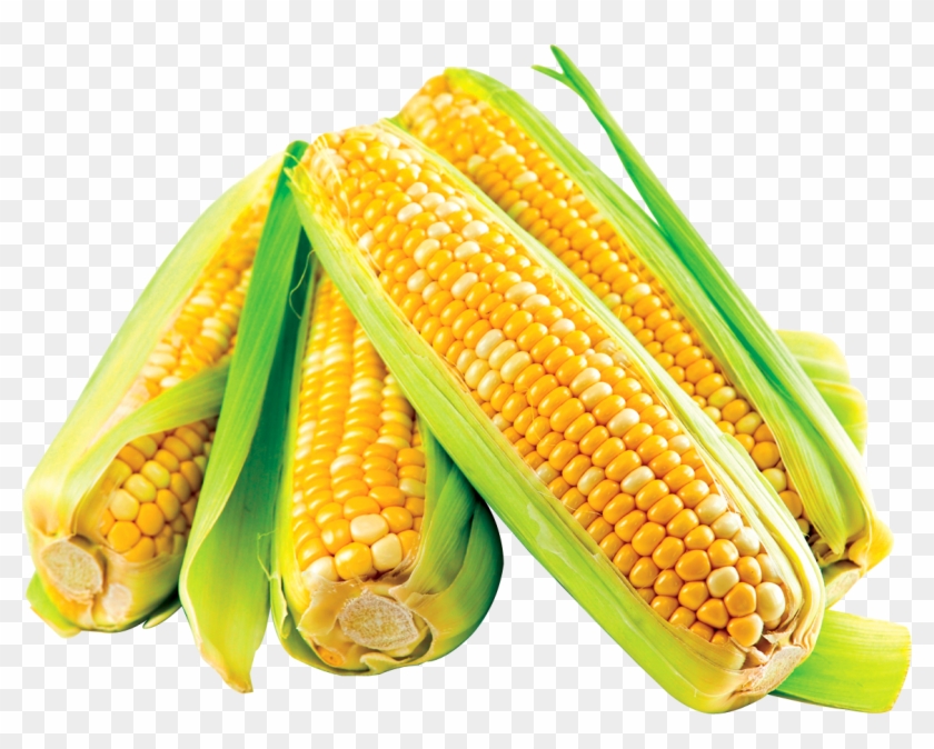 Corn Png Image - Makai Vegetable Clipart #539534