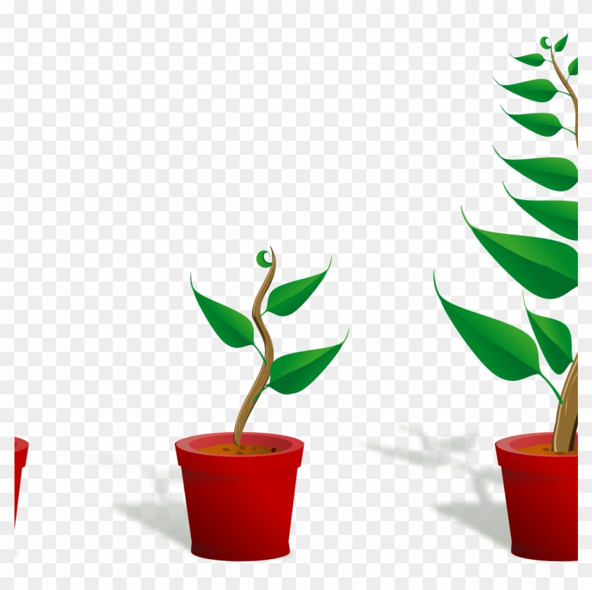 Flower Plant Clipart Plant 2 Growing 4444pxpng, Cute - Getting To Know Plants Transparent Png