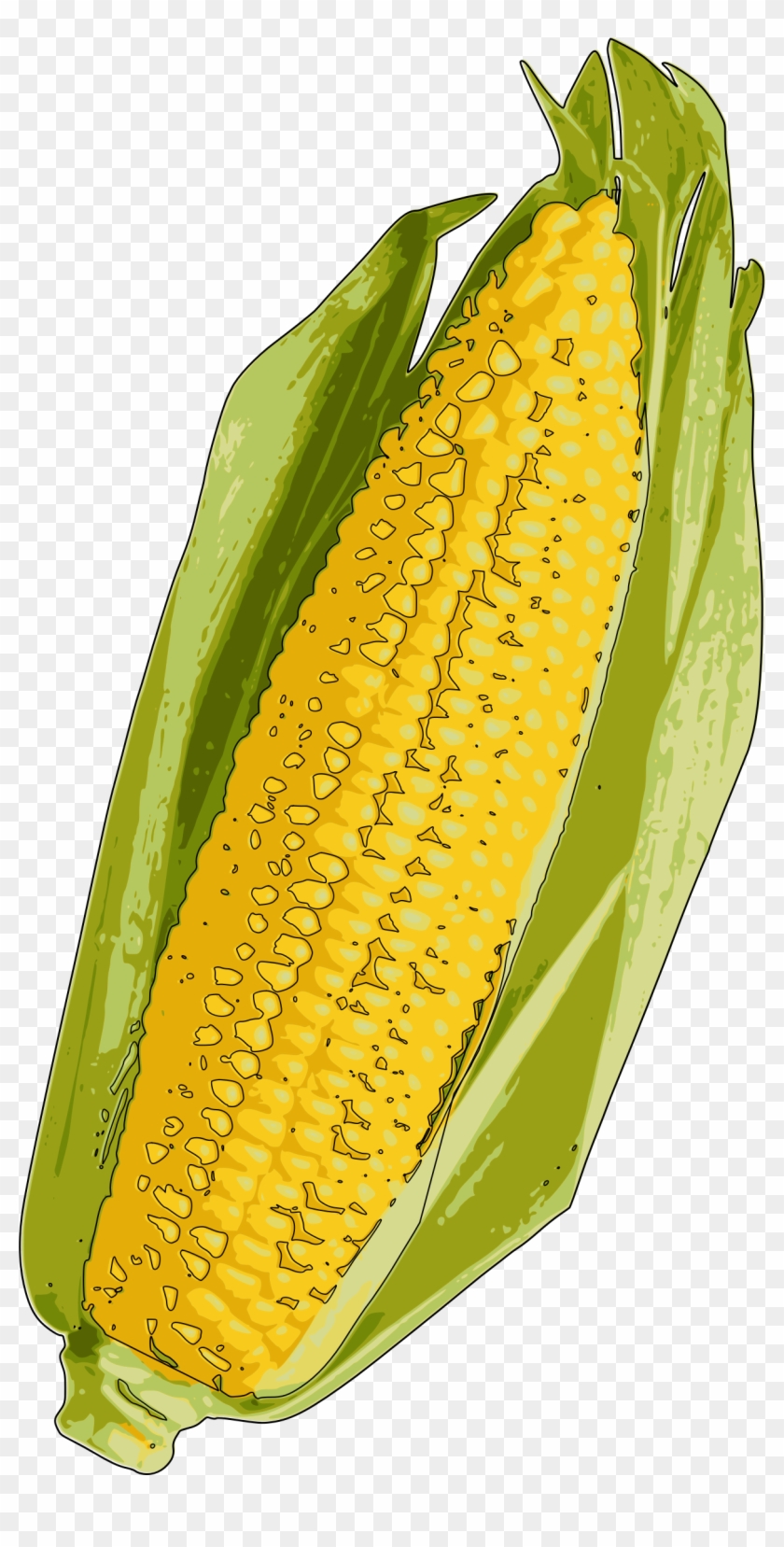 Big Image - Clip Art Corn On The Cob - Png Download