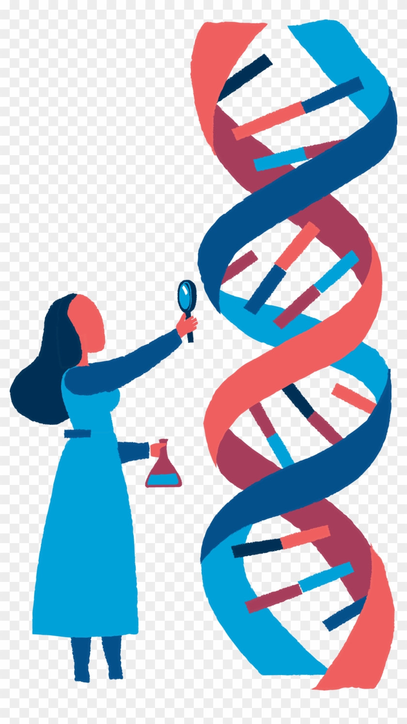 Science Euclidean Vector Biology Dna - Biology Dna Png Clipart