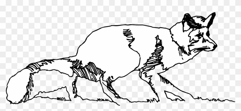 Sketch Grass Fox Animal Tail Png Image - Fox Sketch Png Clipart