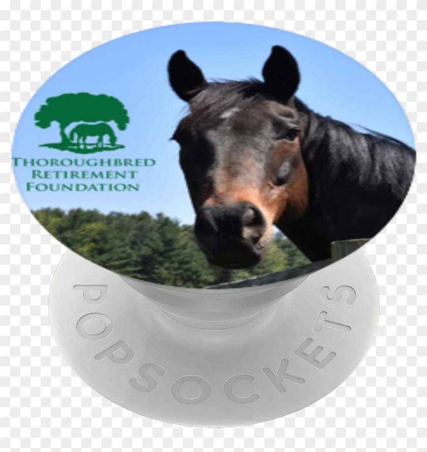 Don't Quit Dreaming, - Working Animal Clipart #5301132