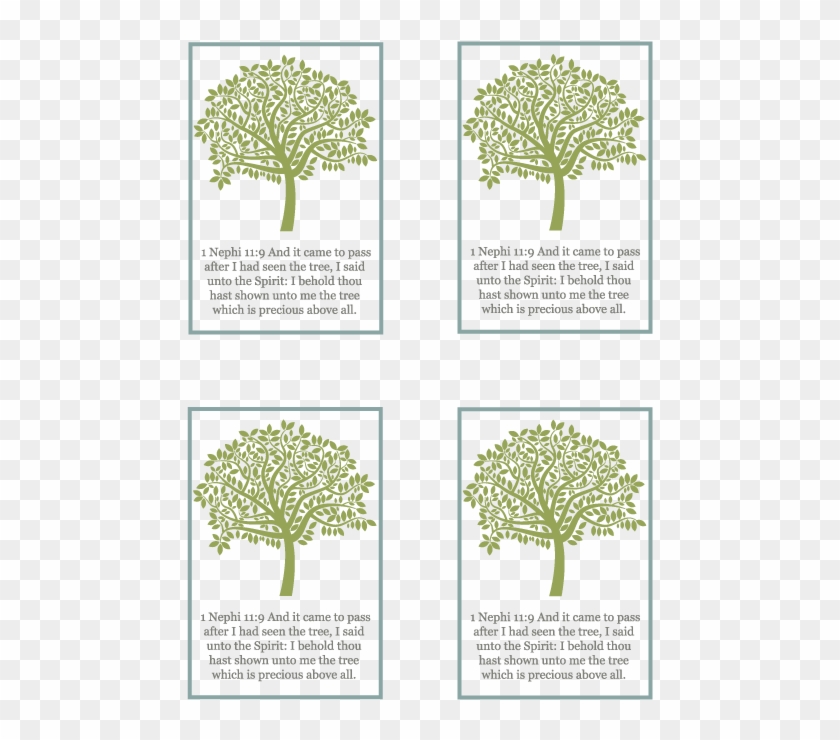 Primary Manual - Pond Pine Clipart