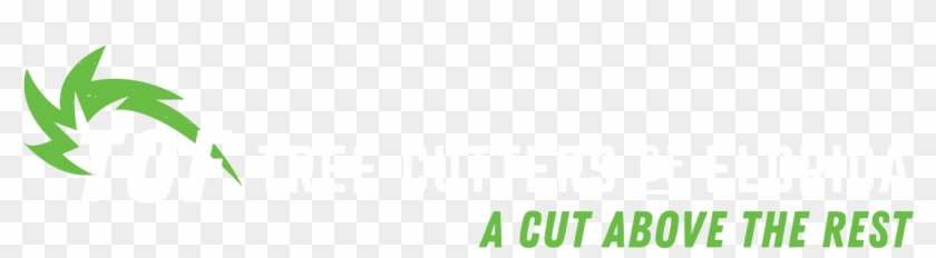 Tree Cutters Of Florida - Graphic Design Clipart