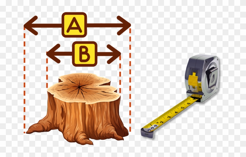 Grind Width - Cut Tree Trunk Clipart - Png Download